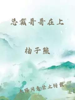 總裁哥哥在上