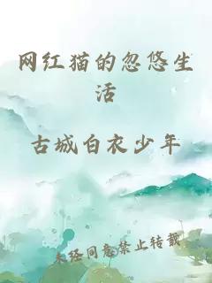 網(wǎng)紅貓的忽悠生活