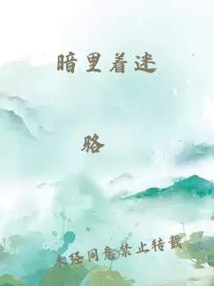 暗里著迷