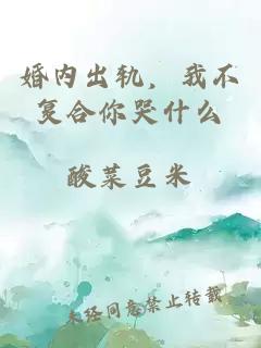婚內(nèi)出軌，我不復(fù)合你哭什么