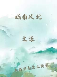 城南政北