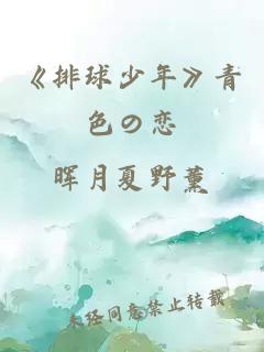 《排球少年》青色の戀