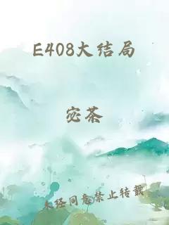 E408大結(jié)局