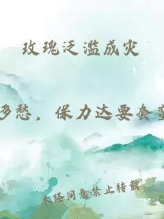 玫瑰泛濫成災