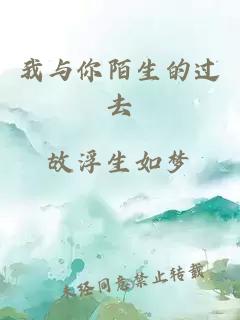 我與你陌生的過去