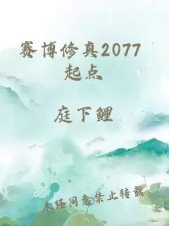 賽博修真2077 起點(diǎn)