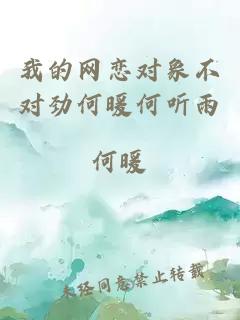 我的網(wǎng)戀對象不對勁何暖何聽雨