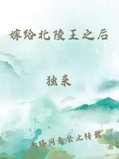 嫁給北陵王之后