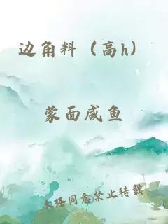 邊角料（高h(yuǎn)）